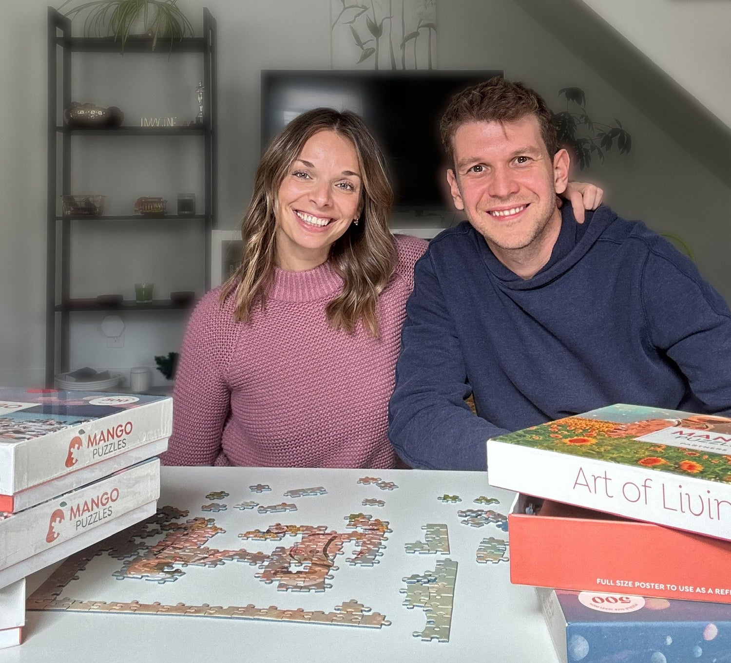premium Jigsaw puzzle for adults - 500 pieces