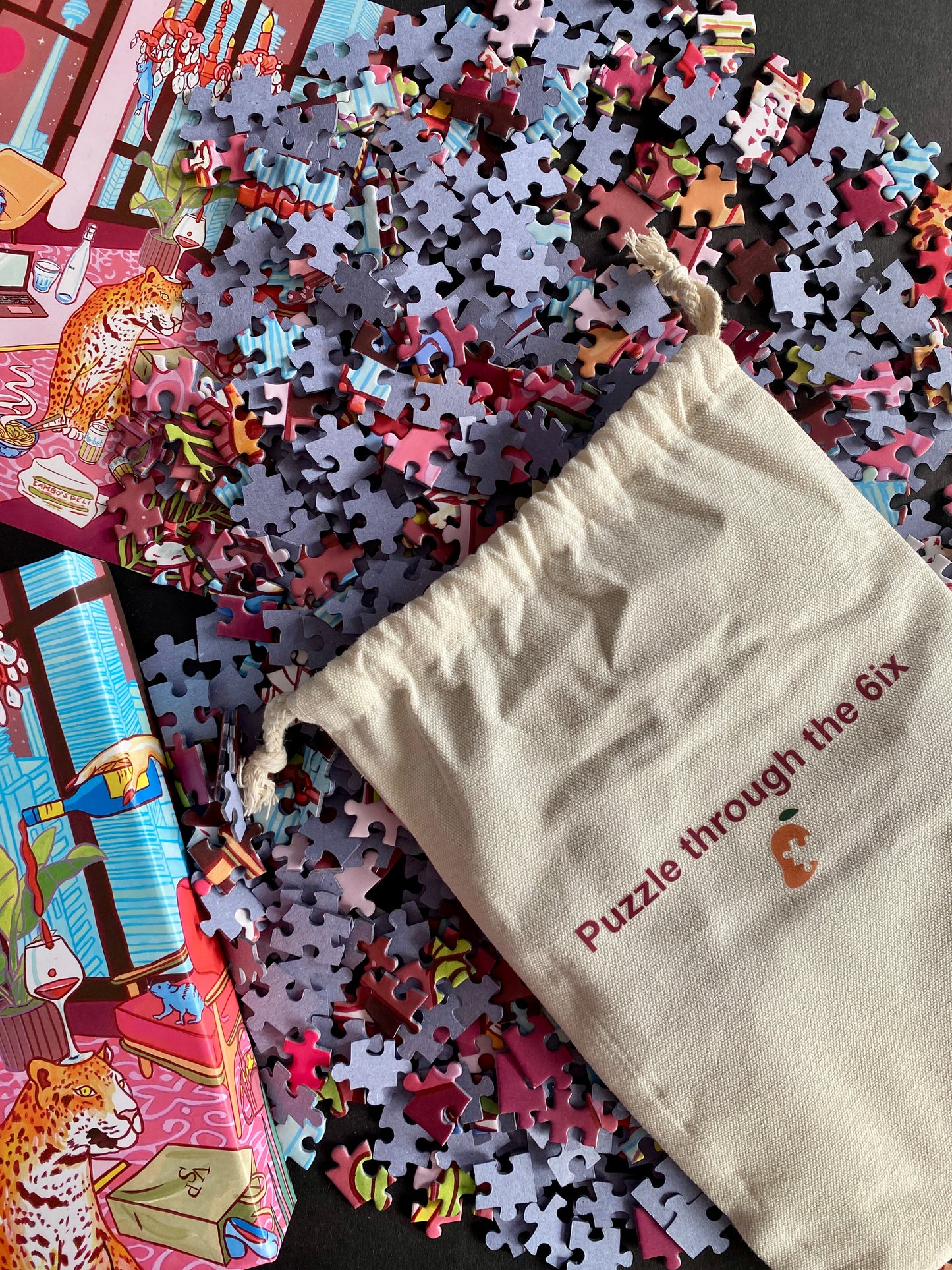 Just a girl in Toronto - 1000pc puzzle