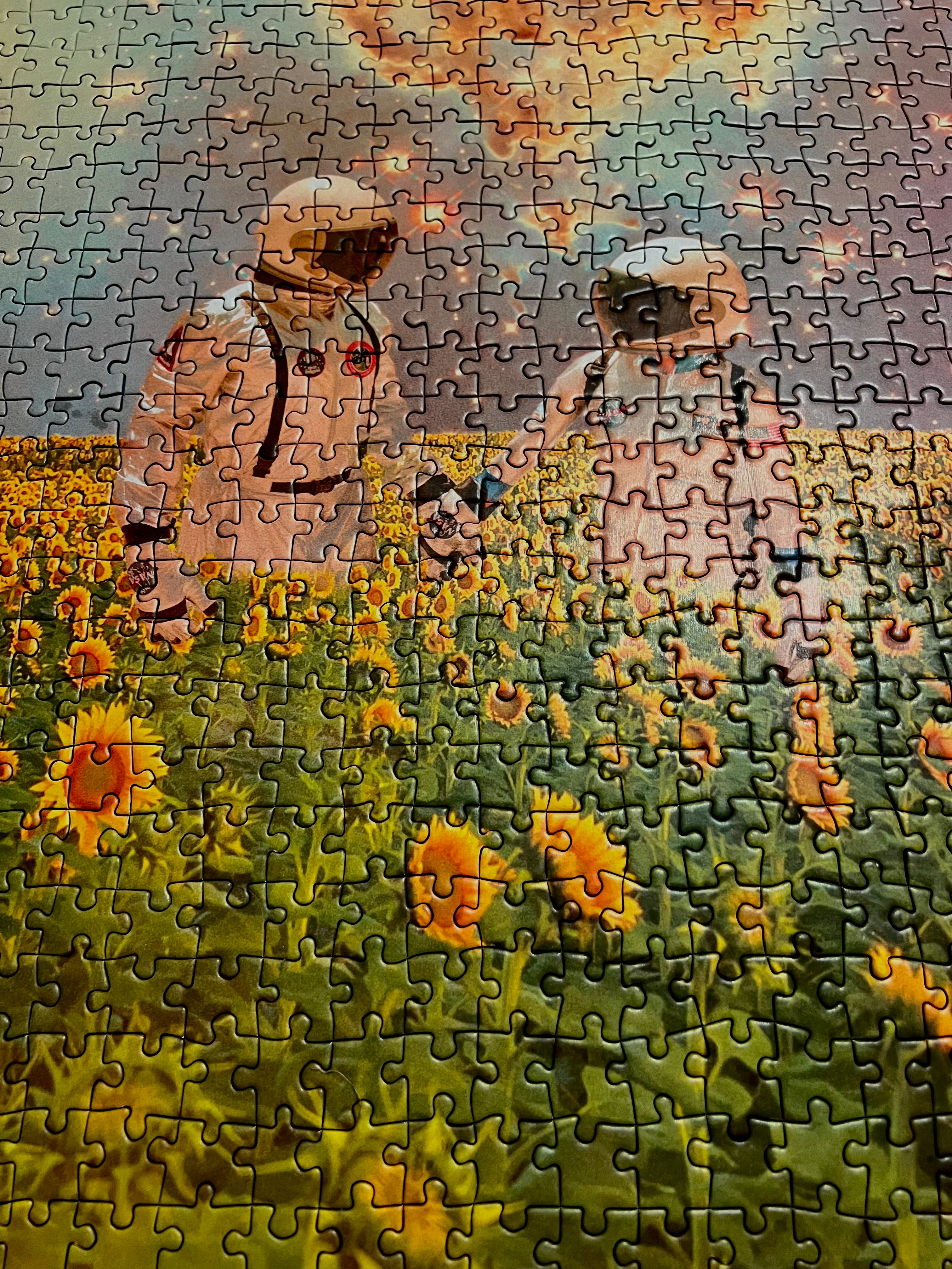 Partners - 500 piece puzzle for adults | Artwork by Caitlyn