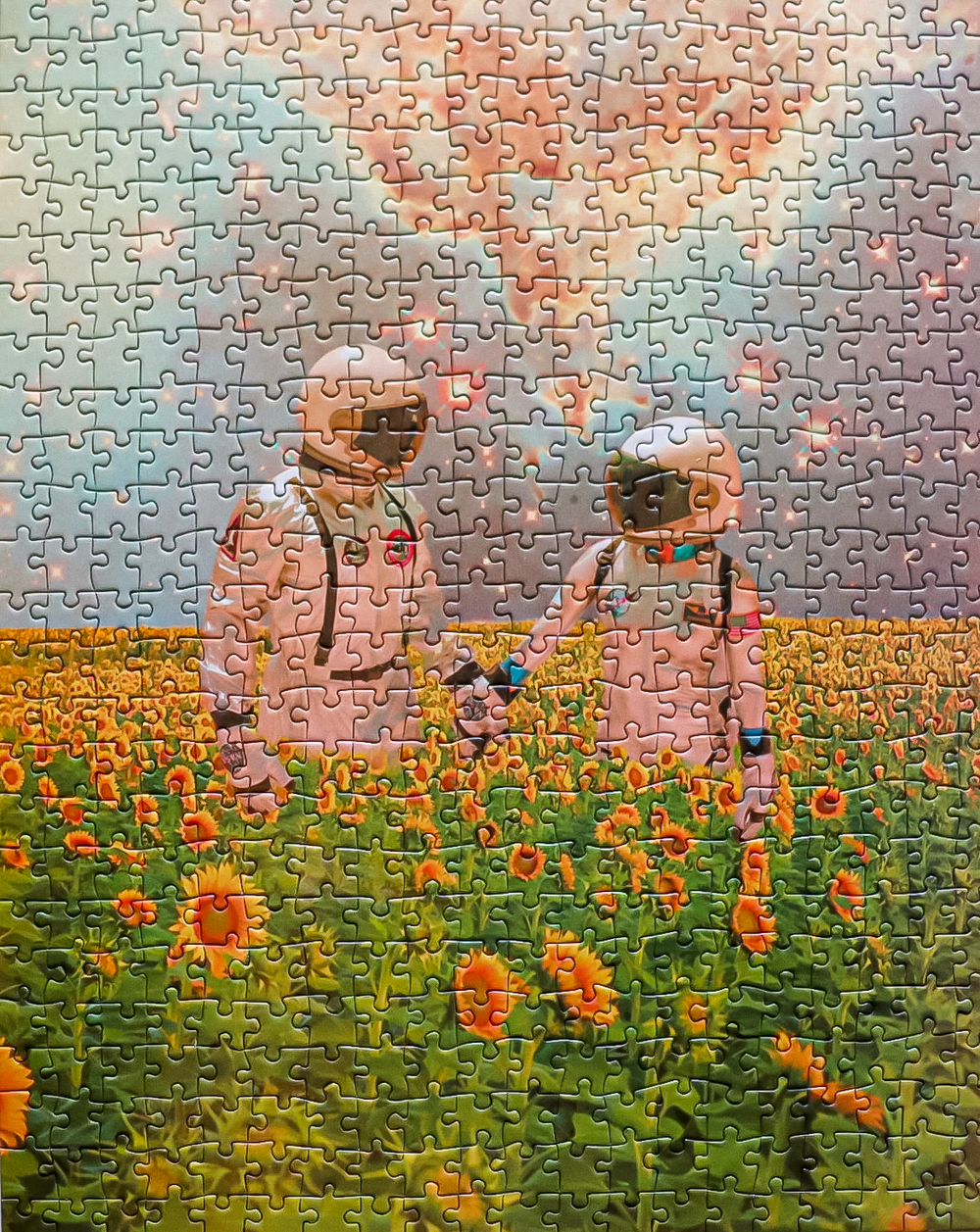 Partners - 500 piece puzzle for adults | Artwork by Caitlyn Grabenstein