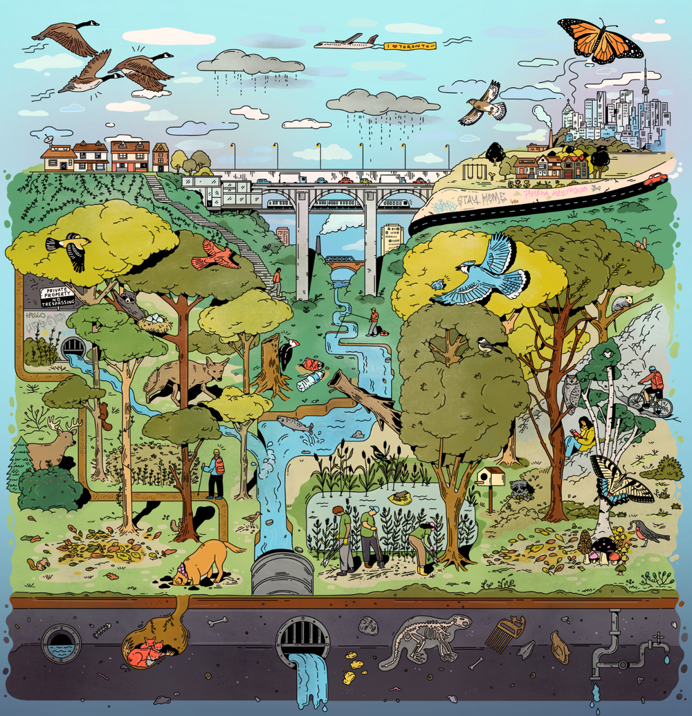 The Ravine | 1000-piece Puzzle for Adults | Artwork by Kathleen Fu