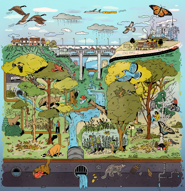 The Ravine | 1000-piece Puzzle for Adults | Artwork by Kathleen Fu