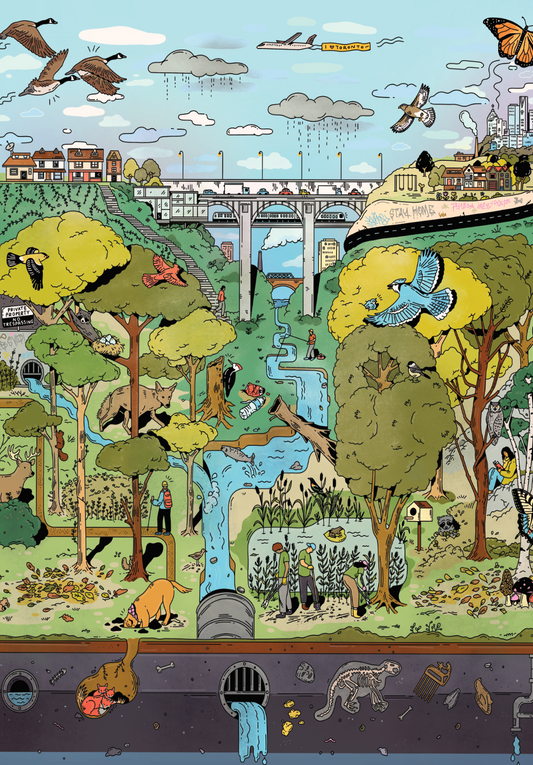 The Ravine | 1000-piece Puzzle for Adults | Artwork by Kathleen Fu