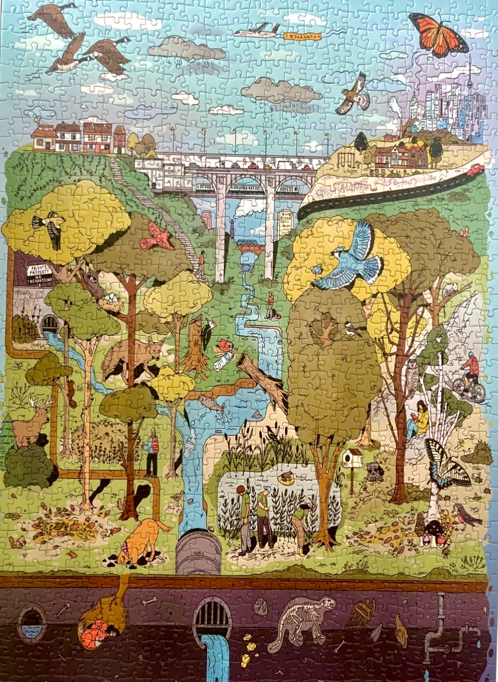 The Ravine | 1000-piece Puzzle for Adults | Artwork by Kathleen Fu