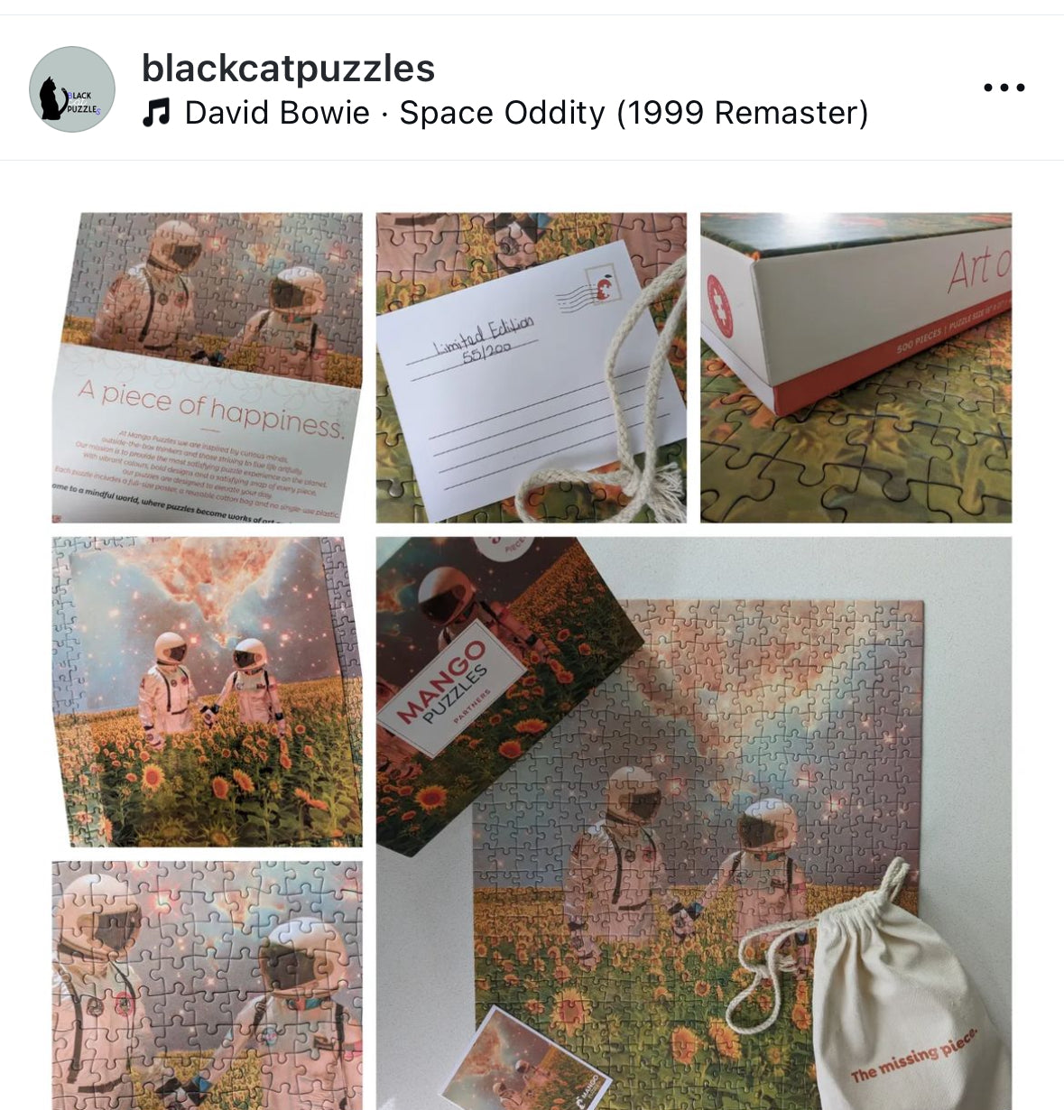 premium Jigsaw puzzle for adults - 500 pieces